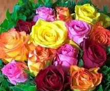 Brautsträuße in Rot, Orange, Lila und Gelb