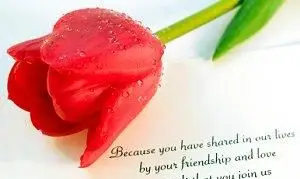 Fontes de casamento grátis