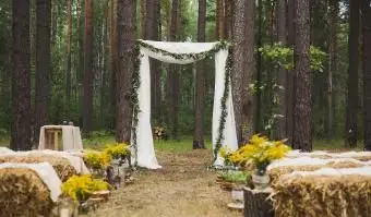 עץ סתיו ישן לטקס חתונה