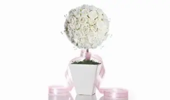 Jak zrobić topiary na wesele