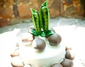 さや塩とコショウ入れのエンドウ豆