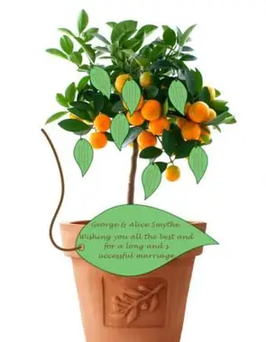 árbol de invitados de boda