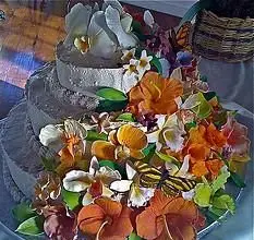 Mariages traditionnels vietnamiens