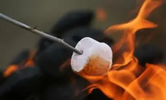 https://cf.ltkcdn.net/weddings/images/slide/131505-637x424r2-Roast-Marshmallows.webp