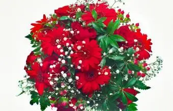 https://cf.ltkcdn.net/weddings/images/slide/250767-850x595-20_bouquet_red_daisy_roses.webp