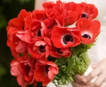 https://cf.ltkcdn.net/weddings/images/slide/107065-456x400-redbouquet11.webp