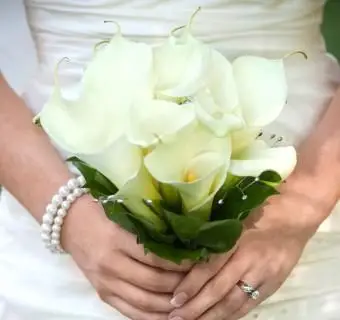 https://cf.ltkcdn.net/weddings/images/slide/241268-850x850-16-calla-lily-bridal-bouquets.webp