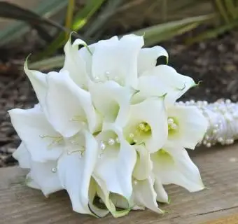 https://cf.ltkcdn.net/weddings/images/slide/241256-850x850-19-calla-lily-bridal-bouquets.webp