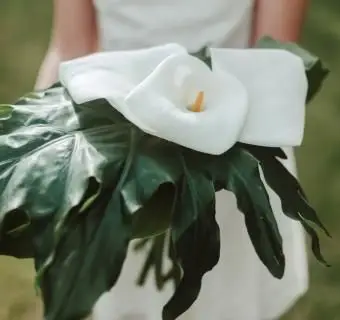 https://cf.ltkcdn.net/weddings/images/slide/241252-850x850-8-calla-lily-bridal-bouquets.webp