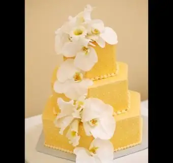 https://cf.ltkcdn.net/weddings/images/slide/241197-850x850-9-three-tier-wedding-cakes.webp