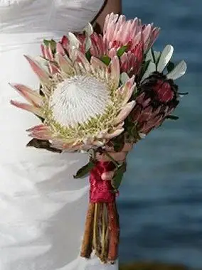 https://cf.ltkcdn.net/weddings/images/slide/106289-284x400-beachflower6.webp