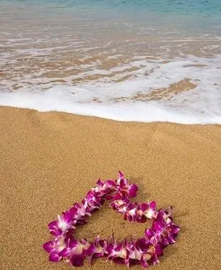 https://cf.ltkcdn.net/weddings/images/slide/106282-311x400-beachflower13.webp