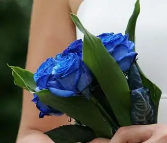 https://cf.ltkcdn.net/weddings/images/slide/106243-438x400-rose16.webp