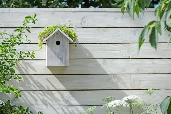 Types of bird box