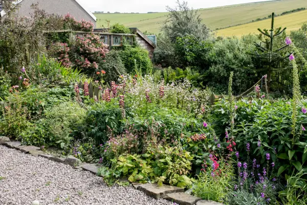 Real gardens: Wildlife-friendly meadow