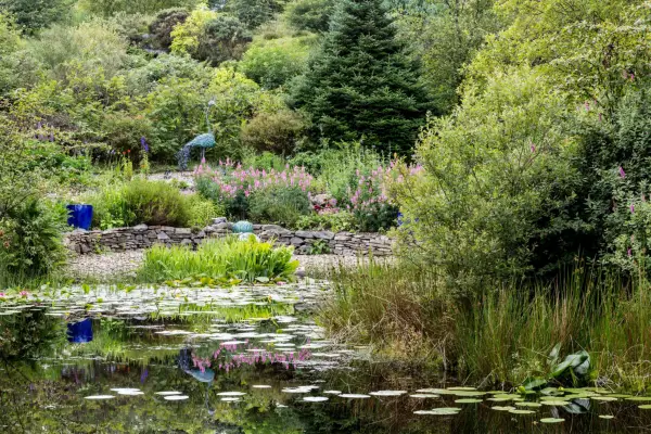 Real gardens: transforming a challenging plot