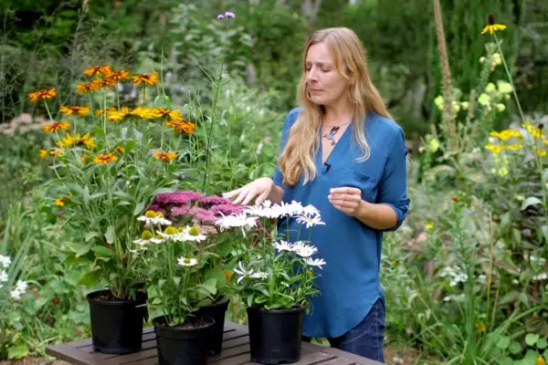 Kate Bradbury amidst late-summer flowersKate Bradbury amidst late-summer flowers