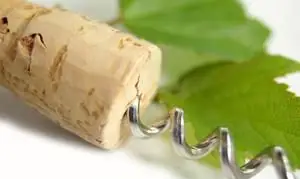 Qu'est-ce qui est bon et mauvais dans les verres à vin sans pied