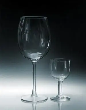 설명 된 와인 잔의 종류