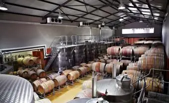 Botti da vino e recipienti di fermentazione in una fabbrica