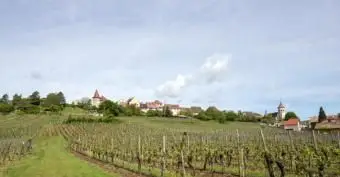 כרמים באלזס; © Gpahas | Dreamstime.com