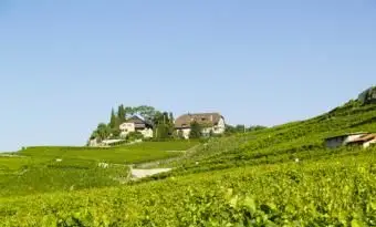 כרמים בקהורס; © פריס | Dreamstime.com