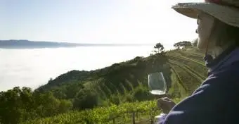 Planejando um fim de semana com degustação de vinhos em Napa Valley