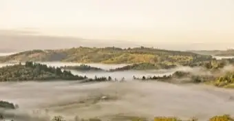 Brouillard dans la vallée de la Willamette