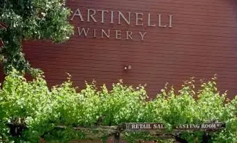 マルティネリワイナリーの赤い納屋