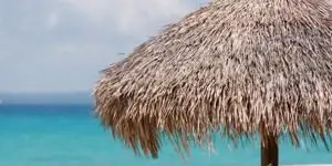 Camicie da donna stile isola