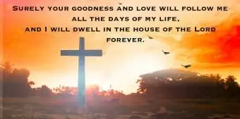 Koza stojąca na polu na tle nieba podczas zachodu słońca