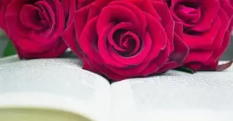 Libro abierto y rosas rojas