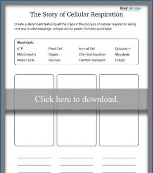 Storyboard o celulárnom dýchaní