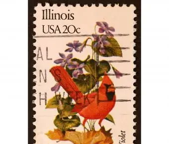 イリノイ州北部枢機卿