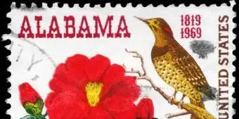 アラバマ北部のちらつき