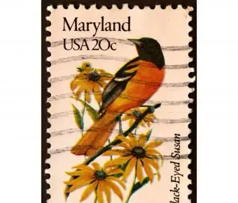 メリーランドボルチモアオリオール