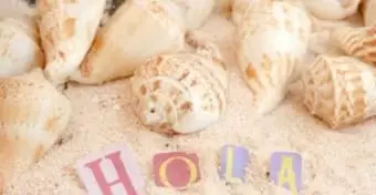 Fogli di lavoro per iniziare lo spagnolo