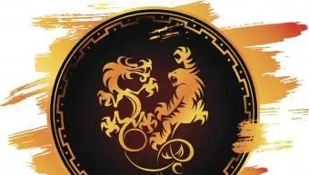 Energia Tygrysa i Smoka w symbolu Yin Yang